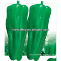 High Quality Hot Resistance Green And Red Bell Pepper Seeds For Cultivation-Green Jade